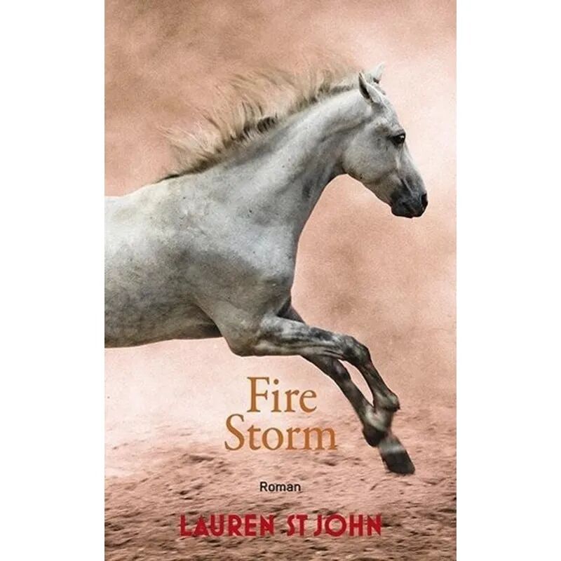 Freies Geistesleben Fire Storm / One Dollar Horse Bd.3