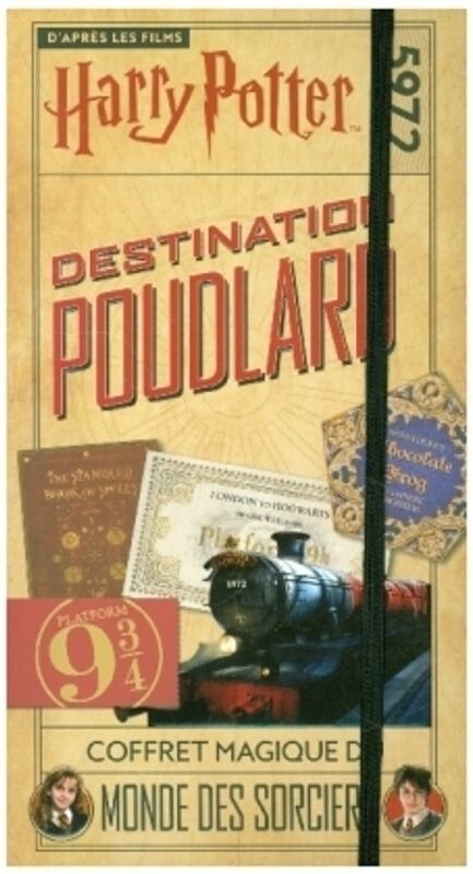 Gallimard Jeunesse Harry Potter - Destination Poudlard