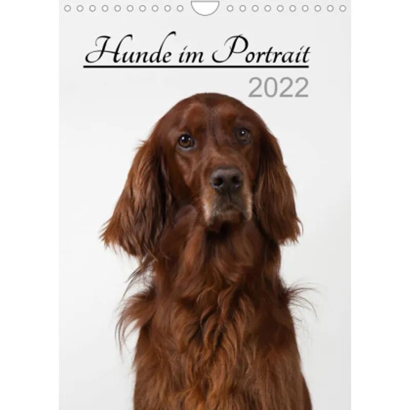 Calvendo Hunde im Portrait (Wandkalender 2022 DIN A4 hoch)