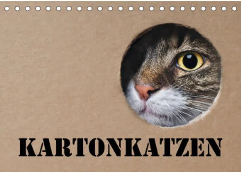 Calvendo Karton Katzen (Tischkalender 2022 DIN A5 quer)