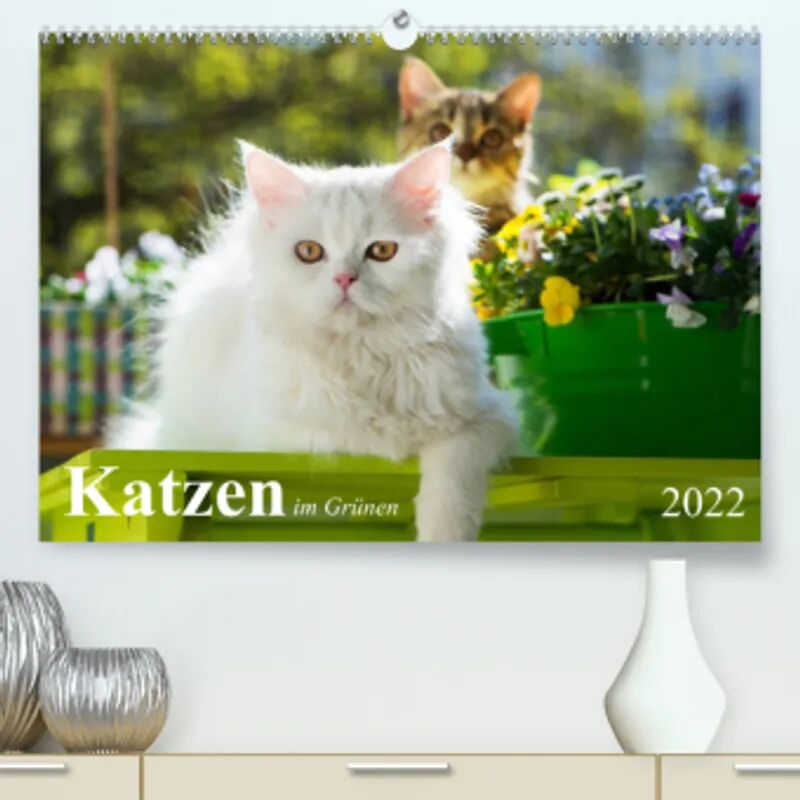 Calvendo Katzen im Grünen (Premium, hochwertiger DIN A2 Wandkalender 2022, Kunstdruck...