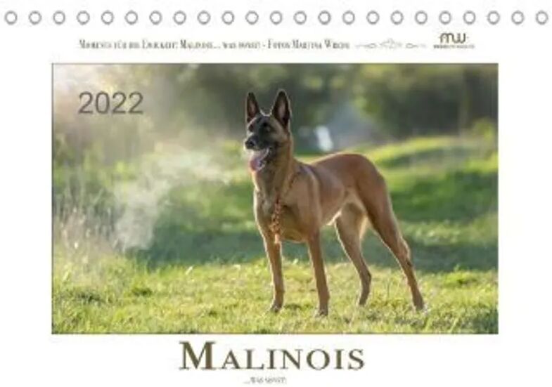 Calvendo Malinois... was sonst! (Tischkalender 2022 DIN A5 quer)