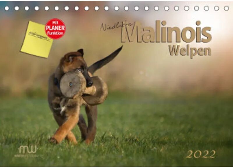 Calvendo Niedliche Malinois Welpen (Tischkalender 2022 DIN A5 quer)