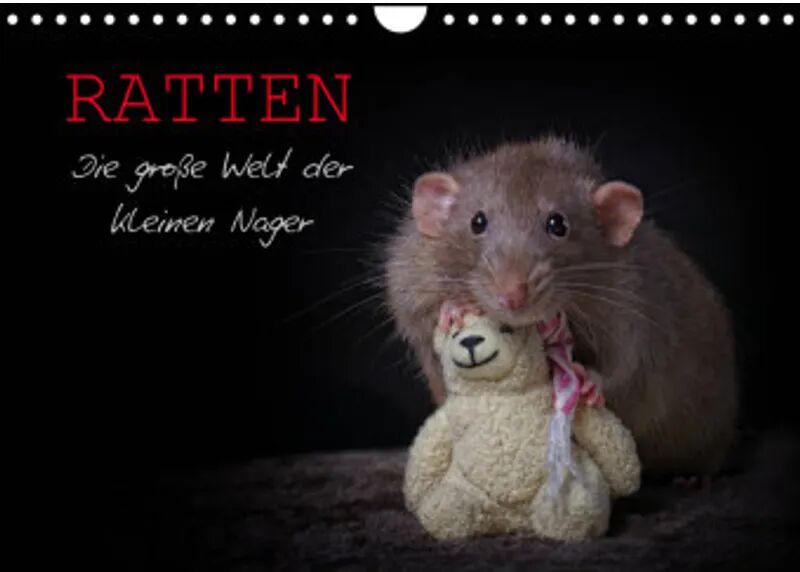 Calvendo Ratten. Die große Welt der kleinen Nager (Wandkalender 2022 DIN A4 quer)