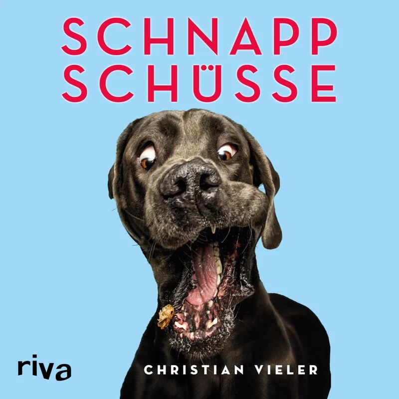 riva Verlag Schnappschüsse