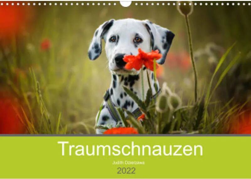 Calvendo Traumschnauzen (Wandkalender 2022 DIN A3 quer)