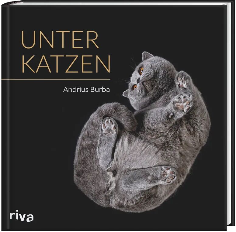 riva Verlag Unter Katzen