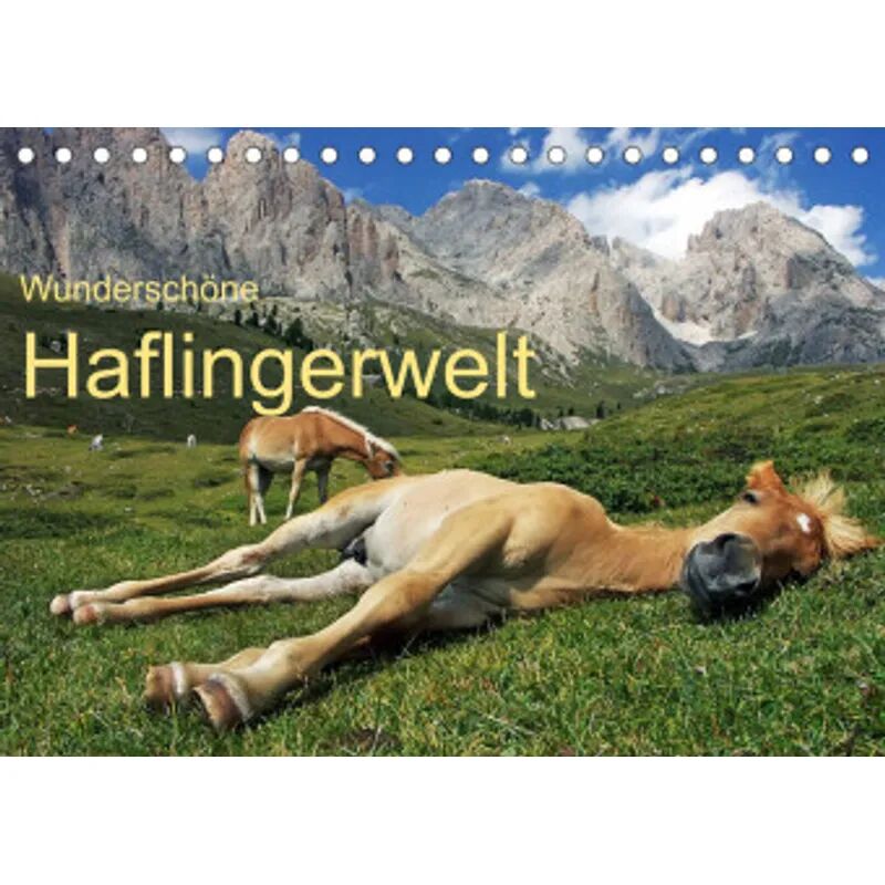 Calvendo Wunderschöne Haflingerwelt (Tischkalender 2022 DIN A5 quer)