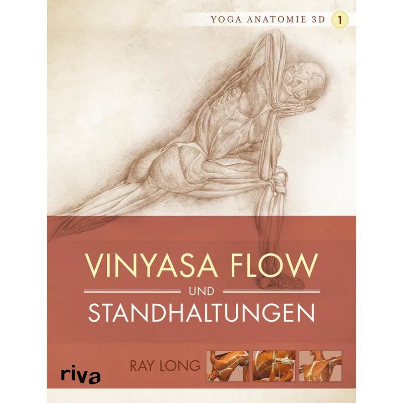 riva Verlag Yoga-Anatomie 3D