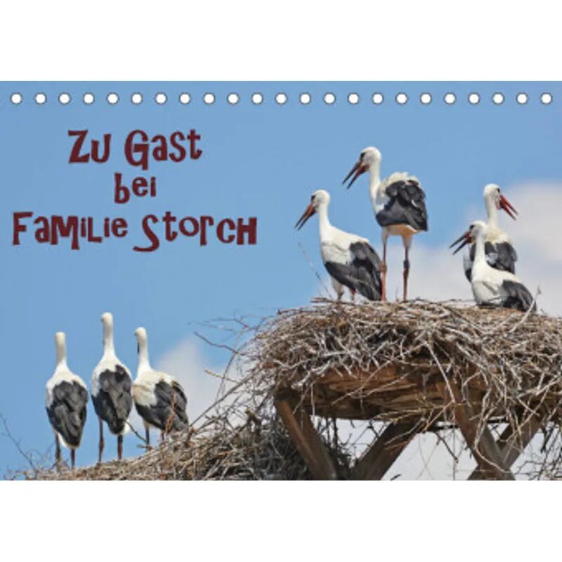 Calvendo Zu Gast bei Familie Storch (Tischkalender 2022 DIN A5 quer)