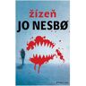 Kniha Zlín Žízeň (Harry Hole 11. díl)