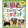 Infoa Zvuky zvířat 60 zvuků zvířat: Stiskni obrázek a poslouchej zvuky zvířat!