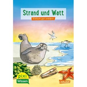 Brigitte Hoffmann - Pixi Wissen 33: VE 5 Strand und Watt: Einfach gut erklärt!   Allgemeinwissen für Grundschukinder (33)