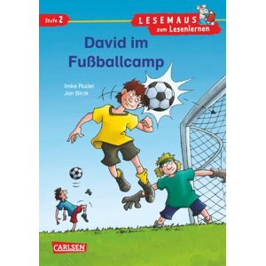 Imke Rudel - GEBRAUCHT LESEMAUS zum Lesenlernen Stufe 2: David im Fußballcamp - Preis vom 01.06.2024 05:04:23 h