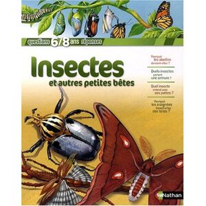 Amanda O'Neill - GEBRAUCHT Insectes et autres petites bêtes - Preis vom 17.05.2024 04:53:12 h