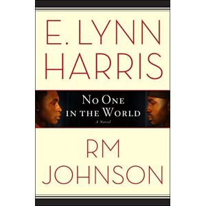 Harris, E. Lynn - GEBRAUCHT No One in the World: A Novel - Preis vom 16.05.2024 04:53:48 h