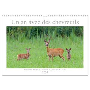 Michael Breuer - Un an avec des chevreuils (Calendrier mural 2024 DIN A3 horizontal), CALVENDO calendrier mensuel