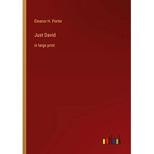 Porter, Eleanor H. - Just David: in large print