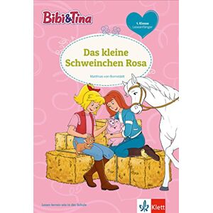 Bornstädt, Matthias von - GEBRAUCHT Bibi und Tina - Thema 11: Lesen lernen - 1. Klasse ab 6 Jahren (Bibi und Tina - Lesen lernen mit dem Schulbuchprofi) - Preis vom 01.06.2024 05:04:23 h