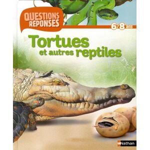 Amanda O'Neill - GEBRAUCHT Tortues et autres reptiles - Preis vom 17.05.2024 04:53:12 h