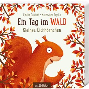 Katarzyna Piętka - GEBRAUCHT Ein Tag im Wald: Kleines Eichhörnchen: Erstes Pappbilderbuch zum Bilderbuchbeststeller Ein Jahr im Wald für Kinder ab 18 Monaten - Preis vom 01.06.2024 05:04:23 h