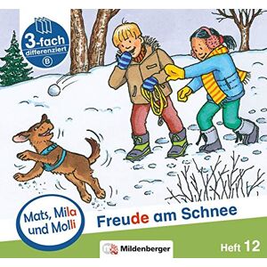 Helge Dr. Weinrebe - GEBRAUCHT Mats, Mila und Molli – Heft 12: Freude am Schnee - B: Eine Geschichte in drei Schwierigkeitsstufen - Preis vom h