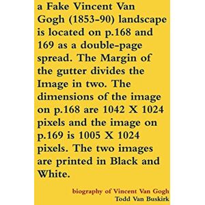 Buskirk, Todd van - a Fake Vincent Van Gogh (1853-90) landscape is located on p.168 and 169 as a double-page spread. The Margin of the gutter divides the Image in two. ... the image on p.169 is 1005 X 1024 pixels...