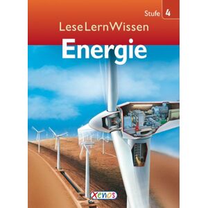 Kate McAllan - GEBRAUCHT LeseLernWissen - Energie: Stufe 4 - Preis vom h