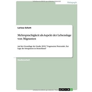 Larissa Schott - Mehrsprachigkeit als Aspekt der Lebenslage von Migranten: Auf der Grundlage der Studie 2010: Ungenutzte Potenziale. Zur Lage der Integration in Deutchland