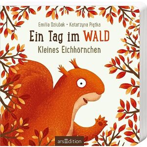 GEBRAUCHT Ein Tag im Wald: Kleines Eichhörnchen: Erstes Pappbilderbuch zum Bilderbuchbestseller Ein Jahr im Wald für Kinder ab 18 Monaten - Preis vom 01.06.2024 05:04:23 h