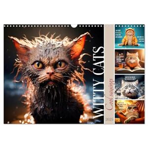 Melanie Viola - WITTY CATS Cool sayings (Wall Calendar 2025 DIN A3 landscape), CALVENDO 12 Month Wall Calendar: Cute furry friends with amusing quips
