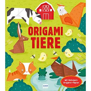 Anne Passchier - GEBRAUCHT Origami Tiere: Mit 24 Blatt buntem Origami-Papier - Preis vom h