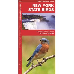 James Kavanagh - GEBRAUCHT New York State Birds: A Folding Pocket Guide to Familiar Species (Pocket Naturalist Guide Series) - Preis vom 15.05.2024 04:53:38 h