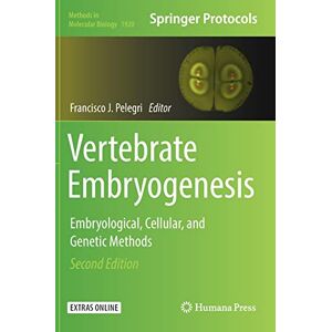 Pelegri, Francisco J. - Vertebrate Embryogenesis: Embryological, Cellular, and Genetic Methods (Methods in Molecular Biology, Band 1920)