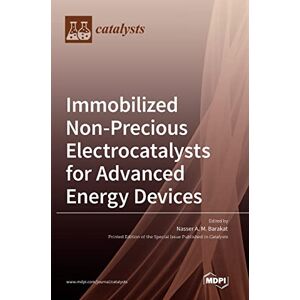 Barakat, Nasser A. M. - Immobilized Non-Precious Electrocatalysts for Advanced Energy Devices