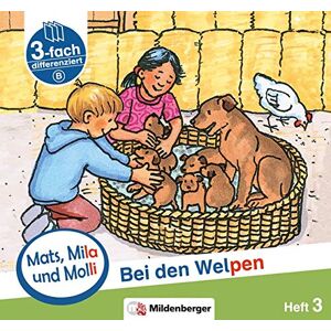 Helge Dr. Weinrebe - GEBRAUCHT Mats, Mila und Molli – Heft 3: Bei den Welpen - Schwierigkeitsstufe B: Eine Geschichte in drei Schwierigkeitsstufen für Erstleser - Preis vom h