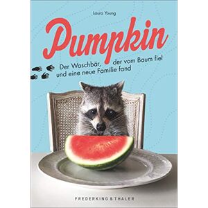 Laura Young - GEBRAUCHT Pumpkin. Der Waschbär, der vom Baum fiel und eine neue Familie fand. Ein bezauberndes Geschenkbuch über den Instagram-Star und eine berührende Freundschaft. - Preis vom h