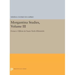 Lavishlivings2 Morgantina-Studien, Band Iii : Fornaci E Officine Da Vasaio Tardo-Ellenistiche. (Auf Italienisch) (Töpferöfen Und Werkstätten Des Späthellenismus)