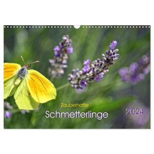 Zauberhafte Schmetterlinge (Wandkalender 2024 Din A3 Quer) Calvendo Monatskalender