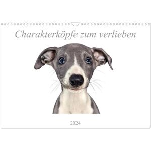 Charakterköpfe Zum Verlieben (Wandkalender 2024 Din A3 Quer) Calvendo Monatskalender