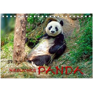 Niedlicher Panda (Tischkalender 2024 Din A5 Quer) Calvendo Monatskalender