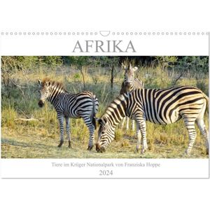 Afrika - Tiere Im Krüger Nationalpark (Wandkalender 2024 Din A3 Quer) Calvendo Monatskalender