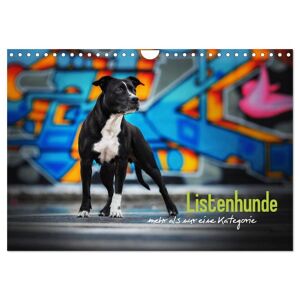 Listenhunde - Mehr Als Nur Eine Kategorie (Wandkalender 2024 Din A4 Quer) Calvendo Monatskalender