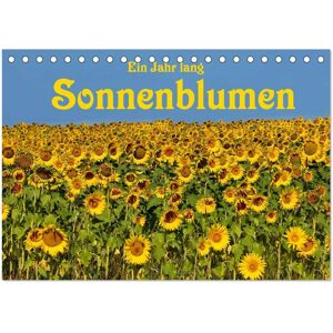 Ein Jahr Lang Sonnenblumen (Tischkalender 2024 Din A5 Quer) Calvendo Monatskalender