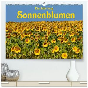 Calvendo Ein Jahr Lang Sonnenblumen (Hochwertiger Premium Wandkalender 2024 Din A2 Quer) Kunstdruck In Hochglanz