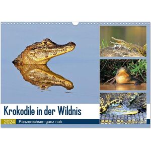 Krokodile In Der Wildnis (Wandkalender 2024 Din A3 Quer) Calvendo Monatskalender