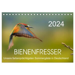 Bienenfresser Unsere Farbenprächtigsten Sommergäste In Deutschland (Tischkalender 2024 Din A5 Quer) Calvendo Monatskalender