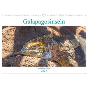 Die Galapagosinseln - Santa Cruz Island (Wandkalender 2024 Din A3 Quer) Calvendo Monatskalender