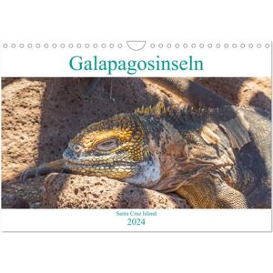 Die Galapagosinseln - Santa Cruz Island (Wandkalender 2024 Din A4 Quer) Calvendo Monatskalender