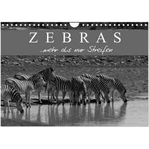 Calvendo Verlag Zebras - Mehr Als Nur Streifen (Wandkalender 2024 Din A4 Quer) Calvendo Monatskalender